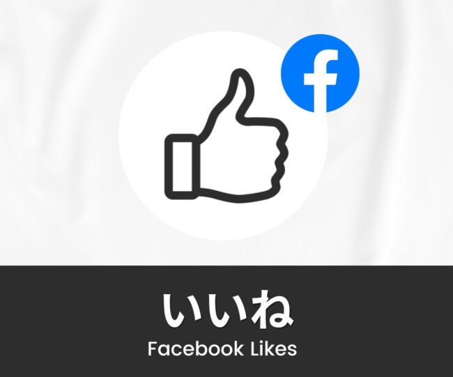 FB3-L