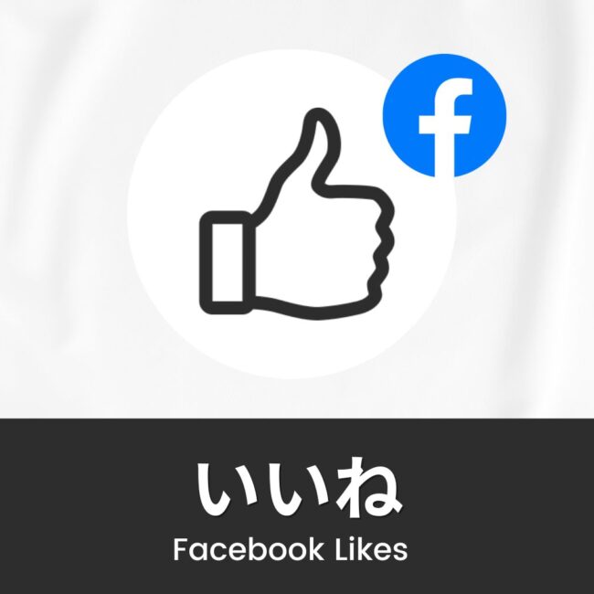 FB3-L